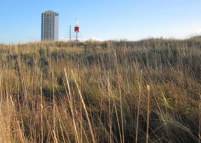 Vakantiehuis Reetkate Am