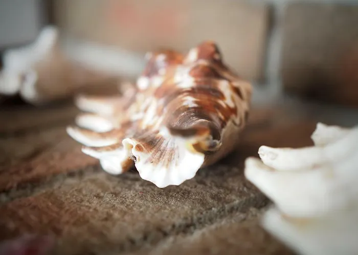 Reetkate Am Vakantiehuis *